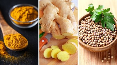 Turmeric, ginger, coriander and more: Your daily diet is incomplete without these 7 must-have Indian herbs