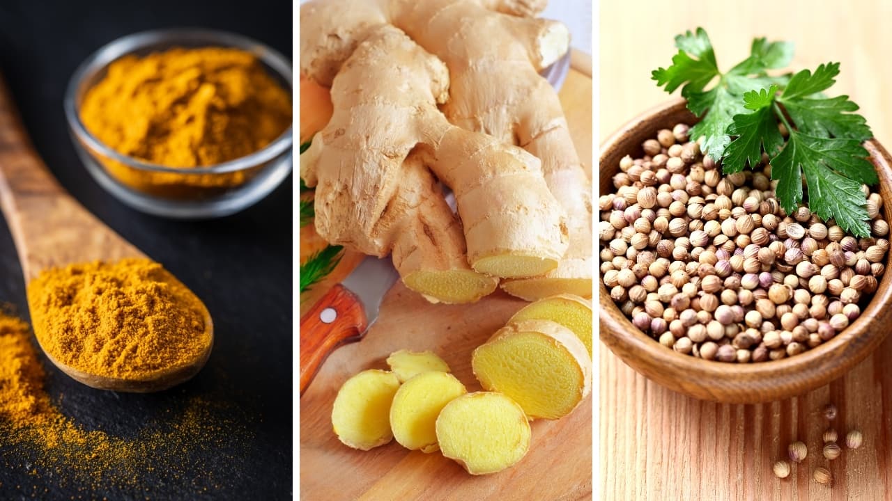 Turmeric, ginger, coriander and more: Your daily diet is incomplete without these 7 must-have Indian herbs