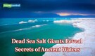 Dead sea’s mysterious salt giants tell the story of Earth’s past, study finds