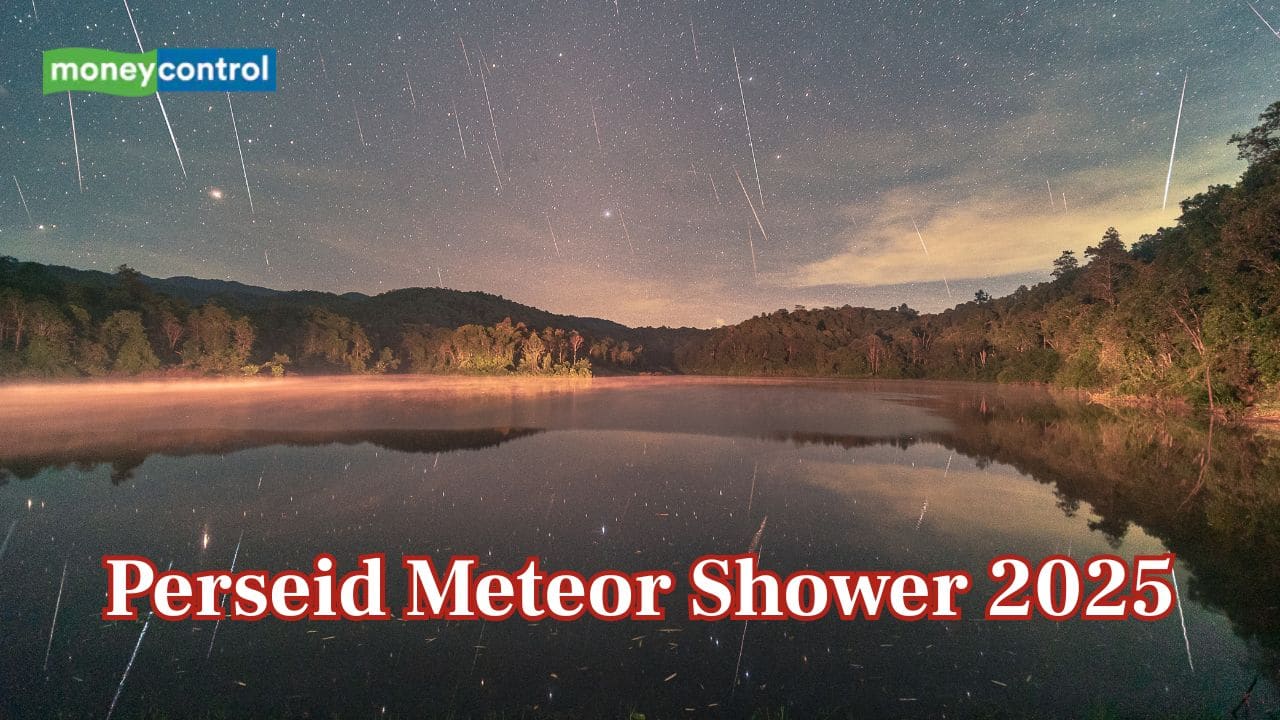 Perseid Meteor Shower reaches its peak: How to see 100 shooting stars per hour and is it visible in India?