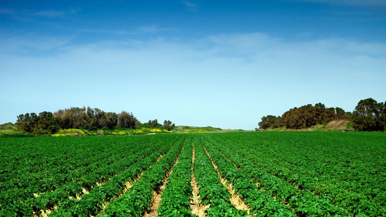 What you need to know before buying land as an investment