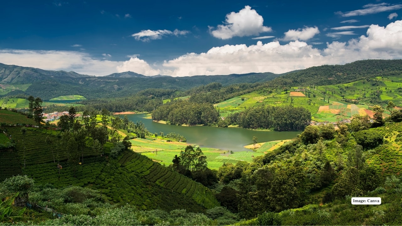 3. Ooty, Tamil Nadu Foggy mornings, blooming gardens, and peaceful lakes make August a tranquil time in the Queen of Hill Stations, ideal for couples and families. (Image: Canva)