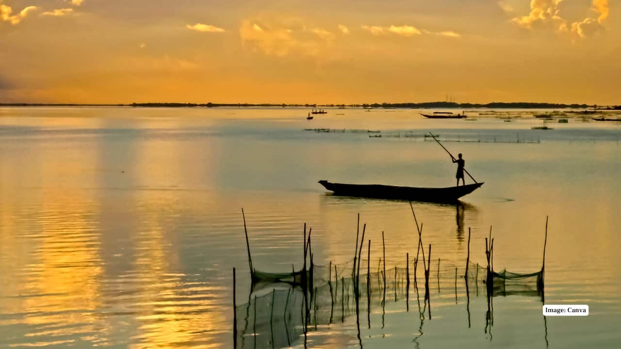 Chilika Lake’s Satapada Island: The Secret Dolphin Spot of Odisha