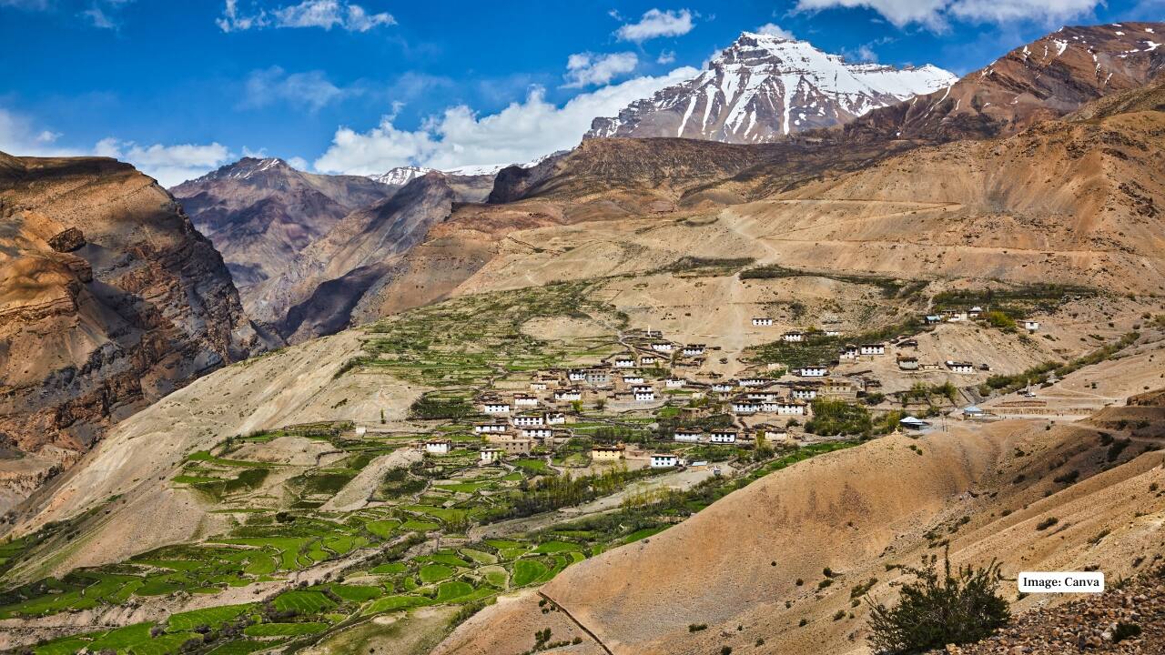2. Kibber Wildlife Sanctuary, Himachal Pradesh Nestled in the Spiti Valley, Kibber offers a raw and untouched wilderness where snow leopards roam free. It’s also home to Himalayan ibex, Tibetan wolves, and vibrant mountain bird species, making it a paradise for photographers and nature lovers. (Image: Canva) 2. Kibber Wildlife Sanctuary, Himachal Pradesh Nestled in the Spiti Valley, Kibber offers a raw and untouched wilderness where snow leopards roam free. It’s also home to Himalayan ibex, Tibetan wolves, and vibrant mountain bird species, making it a paradise for photographers and nature lovers. (Image: Canva)