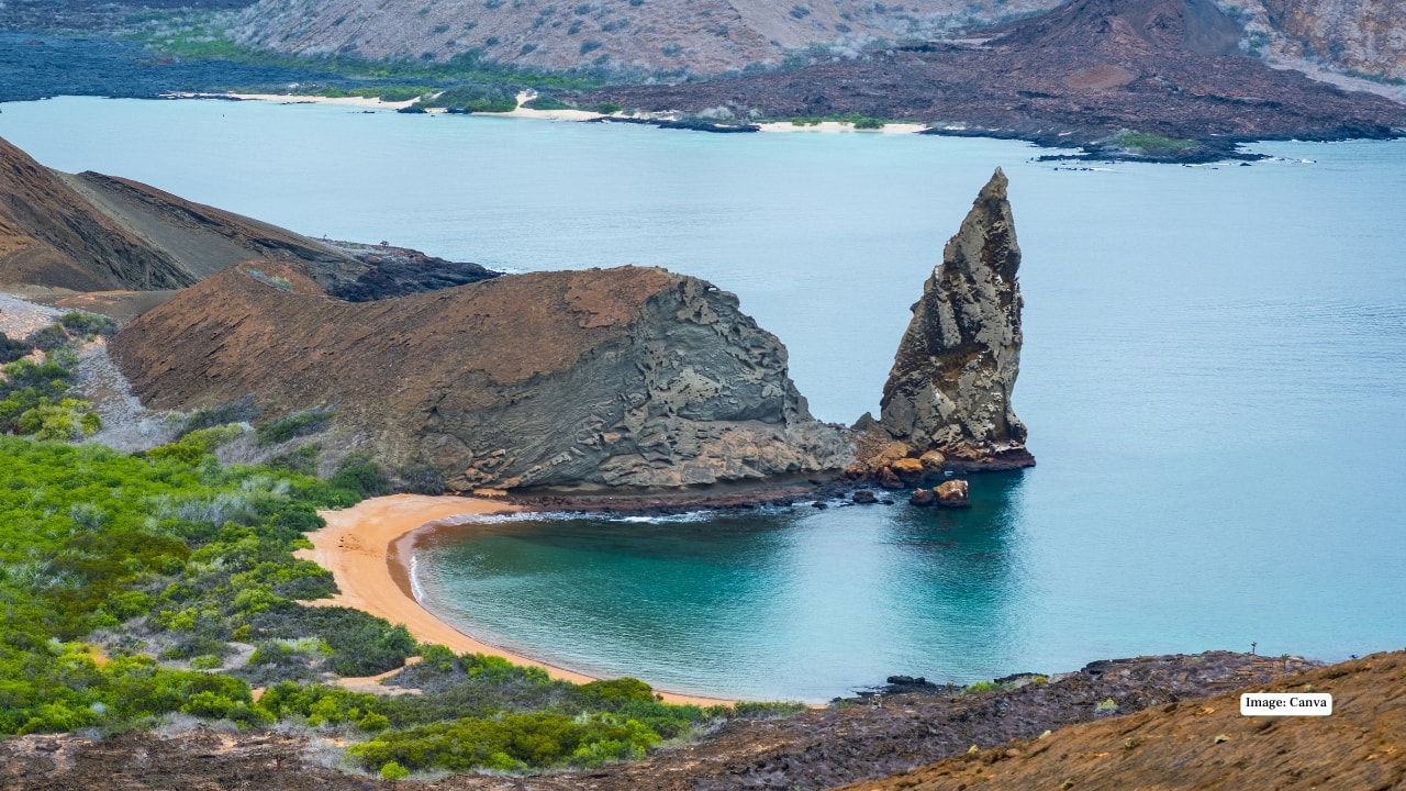 7. Galapagos Islands, Ecuador The Galapagos Islands are a wildlife wonderland with giant tortoises, marine iguanas, and rare birds. Hike volcanic terrain, snorkel alongside sea lions, and discover species found nowhere else on Earth. (Image: Canva)