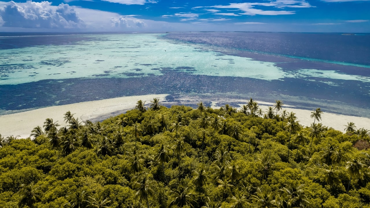 1. Vaadhoo Island, Maldives This Maldivian paradise transforms into a &quot;Sea of Stars&quot; at night when bioluminescent phytoplankton (Lingulodinium polyedrum) light up the shoreline. The blue glow, caused by a chemical reaction called luciferase, creates one of nature's most breathtaking phenomena visible between July and February. (Image: Unsplash)