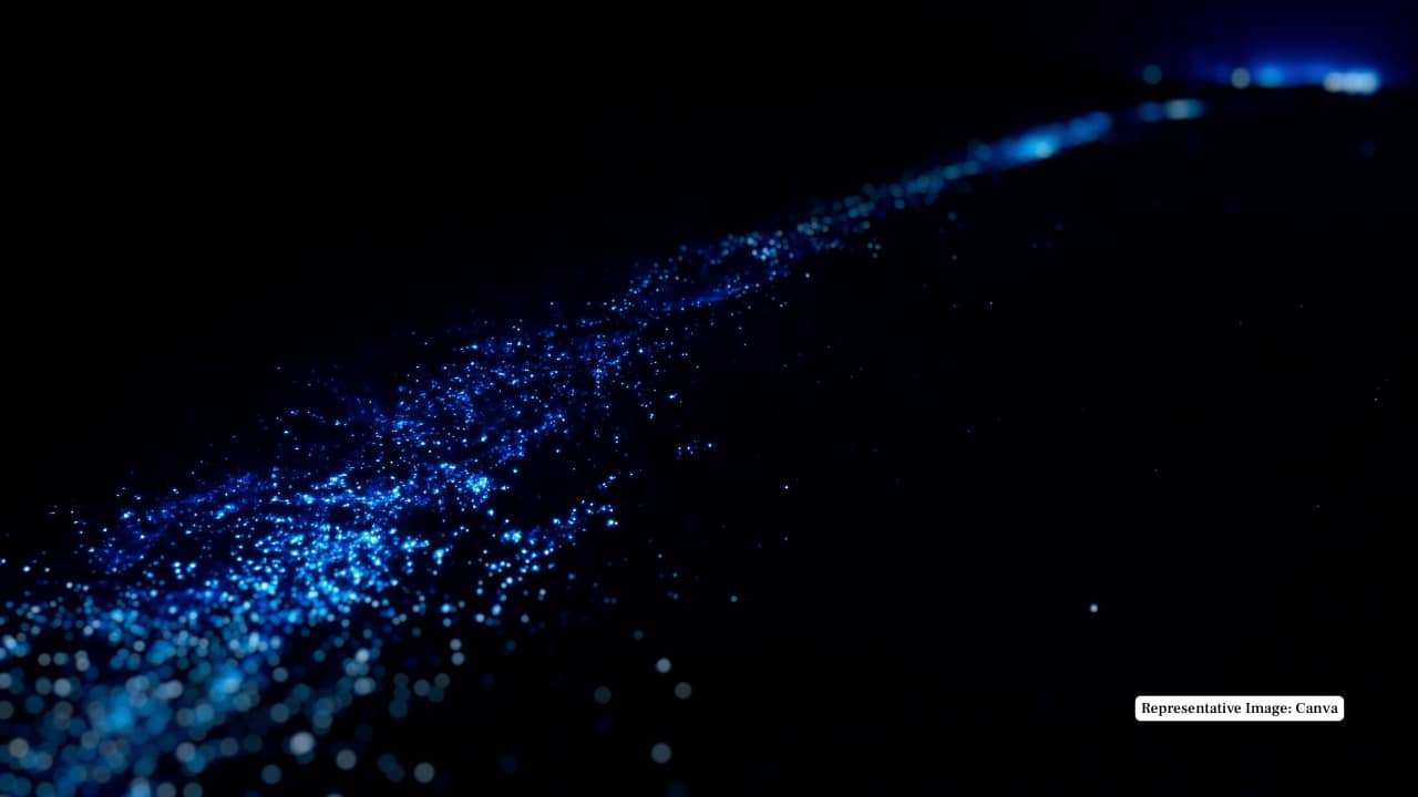 8. Luminous Lagoon, Falmouth, Jamaica Where the Martha Brae River meets the Caribbean Sea, a unique mix of freshwater and saltwater creates ideal conditions for bioluminescent microorganisms. The lagoon's consistent glow makes it one of the most reliable viewing spots year-round. (Representative Image: Canva)