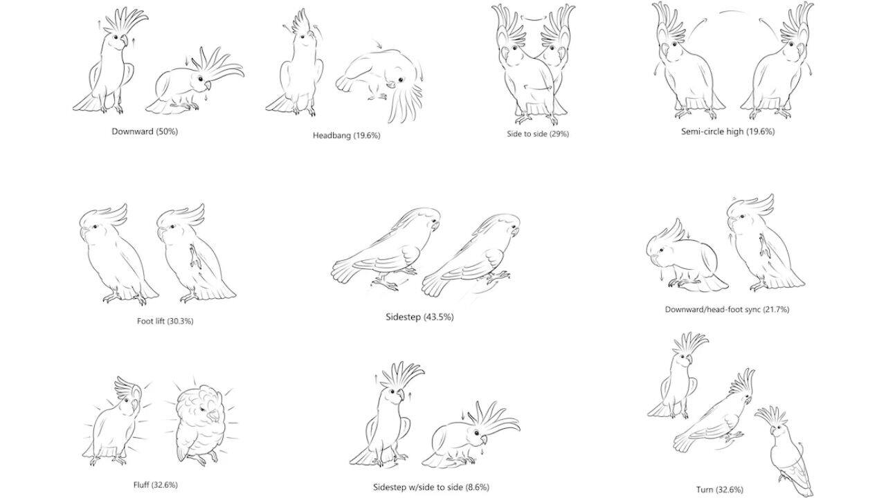 Depiction of the 10 most frequently observed dance moves. (Image: Zenna Lugosi/Lubke et al., PLOS One, 2025, CC-BY 4.0)