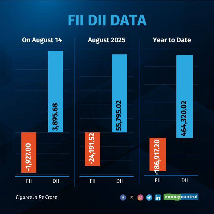fii-dii-daily-graphic140825