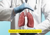 10 things to know about pneumonia: It's causes, risk factors, symptoms, and management