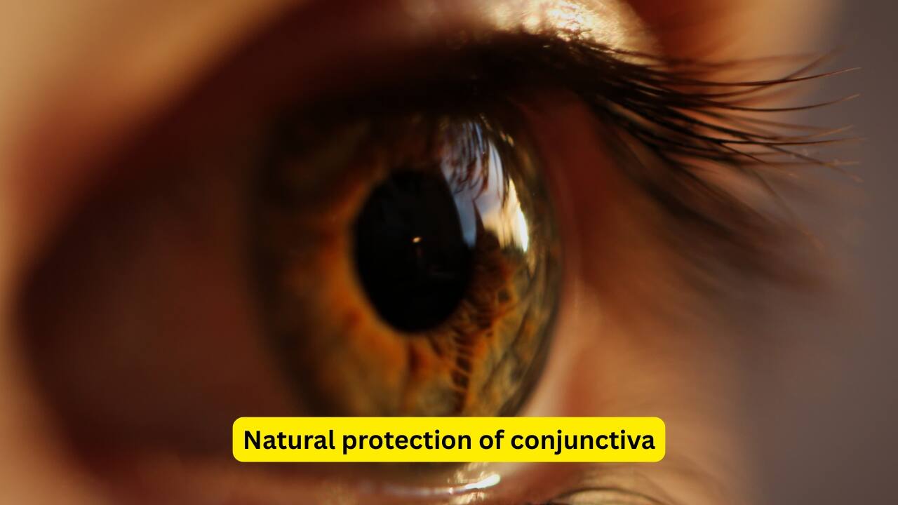 Natural protection of conjunctiva The conjunctiva is naturally protected by the physical protection offered by the eyelids, and the antibacterial activity of certain enzymes called lysozymes. The flushing of tears also helps in keeping the micro-organisms away. Exposure to air keeps the temperature low, and aids in the defensive mechanism.(Image: Canva)