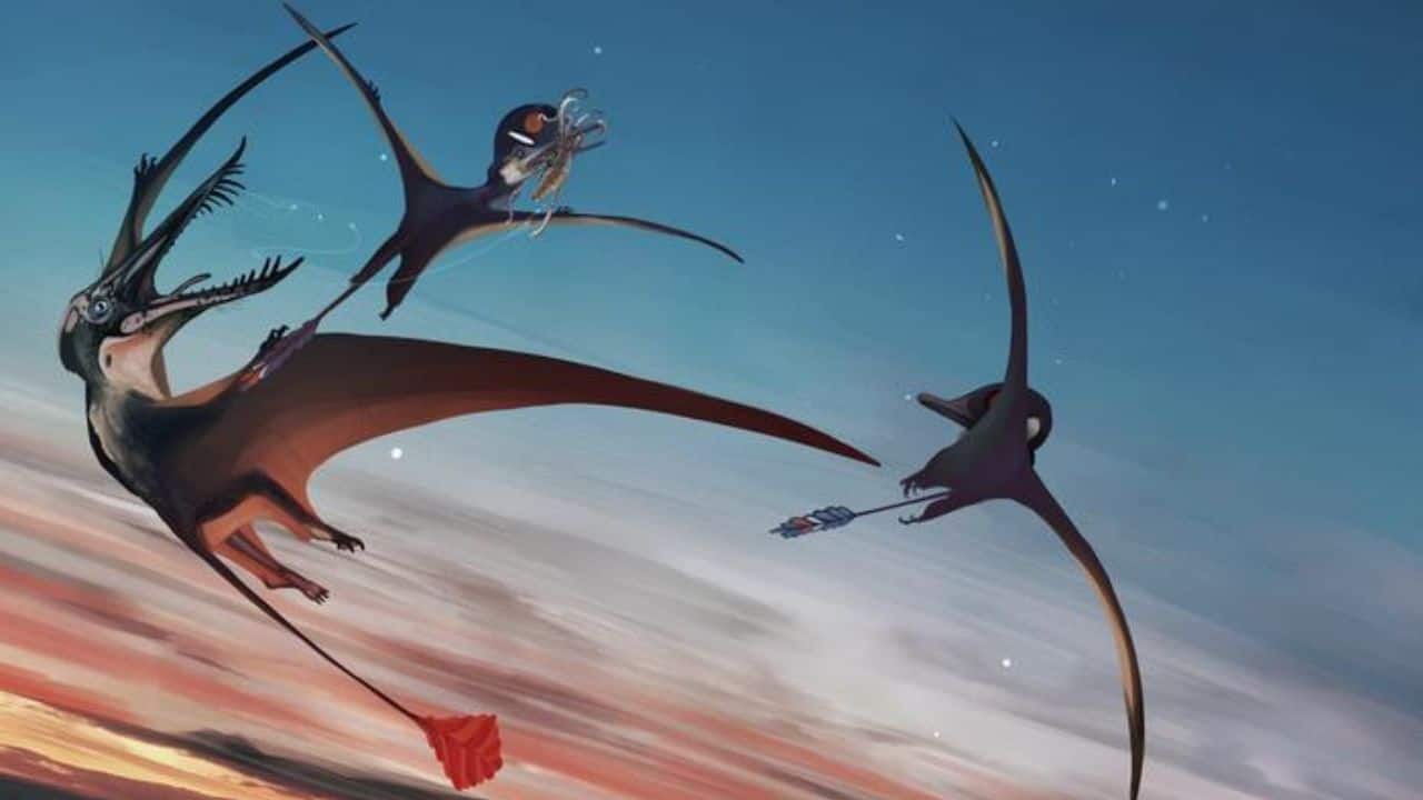 Dearc, a pterosaur with a 2.5-metre wingspan, alongside Ceoptera, a smaller crested species. (Image: Natalia Jagielska)