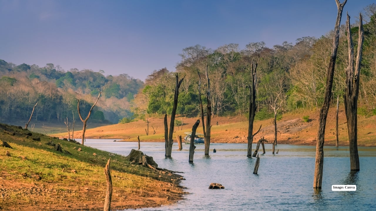 5. Periyar Wildlife Sanctuary, Kerala Periyar’s tranquil lake is surrounded by lush forests teeming with elephants, wild boars, and a variety of birds. Early morning boat rides offer reflections on calm waters, misty landscapes, and unique angles for wildlife and landscape photography alike. (Image: Canva)