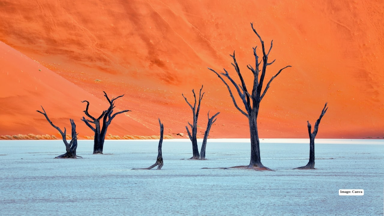 1. Deadvlei, Namibia An otherworldly clay pan surrounded by fiery red dunes and dotted with ancient, skeletal trees. Its stark contrasts and surreal atmosphere have made Deadvlei a consistent winner in international photography contests. (Image: Canva) 1. Deadvlei, Namibia An otherworldly clay pan surrounded by fiery red dunes and dotted with ancient, skeletal trees. Its stark contrasts and surreal atmosphere have made Deadvlei a consistent winner in international photography contests. (Image: Canva)