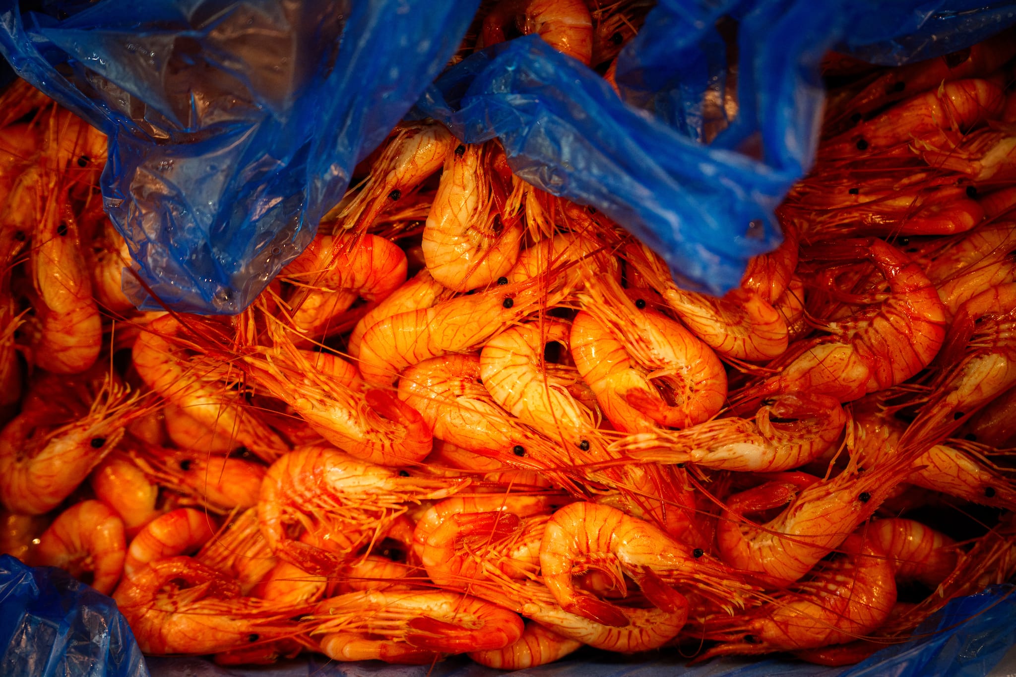 How radioactive shrimp ended up in Walmart stores: FDA urges buyers to 'throw it away'