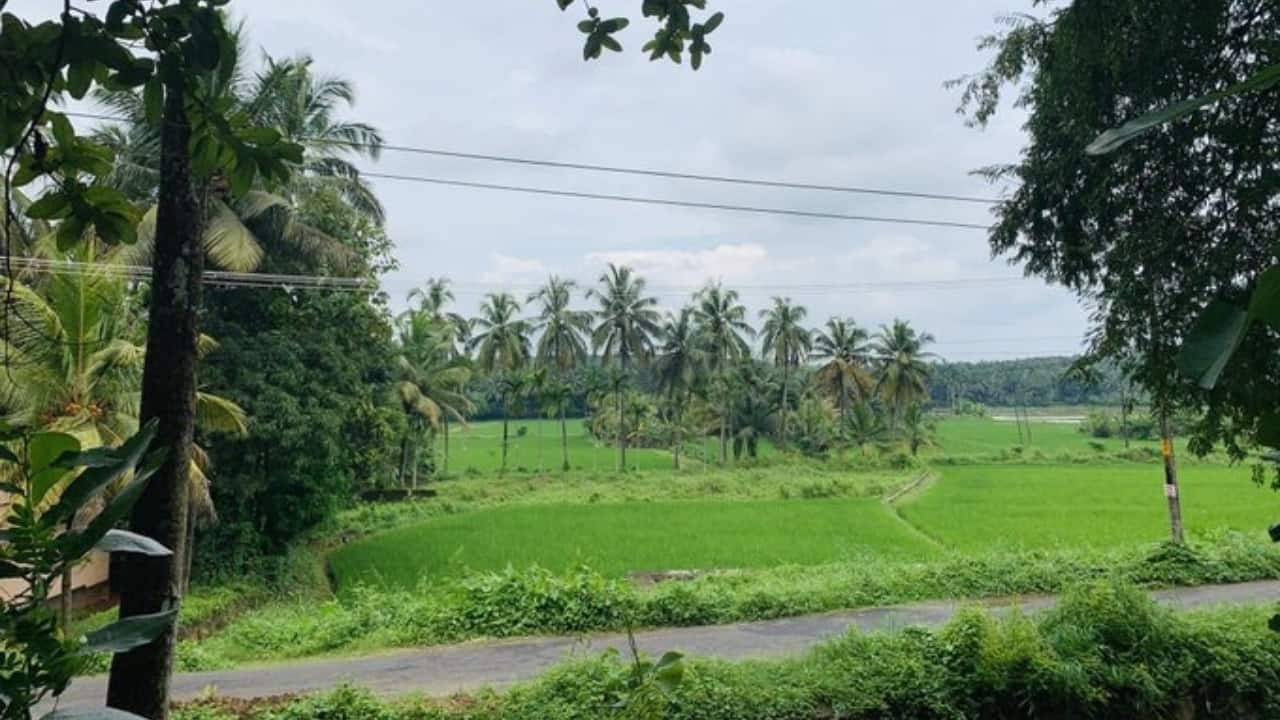 At the pods, as per the report, high-speed internet, 24x7 access, meeting spaces, and the required hi-tech features will be available. For this, a three-storey structure, with the project estimated to cost around Rs 6 crore, will be constructed. (Photo: @kirubaakaran)