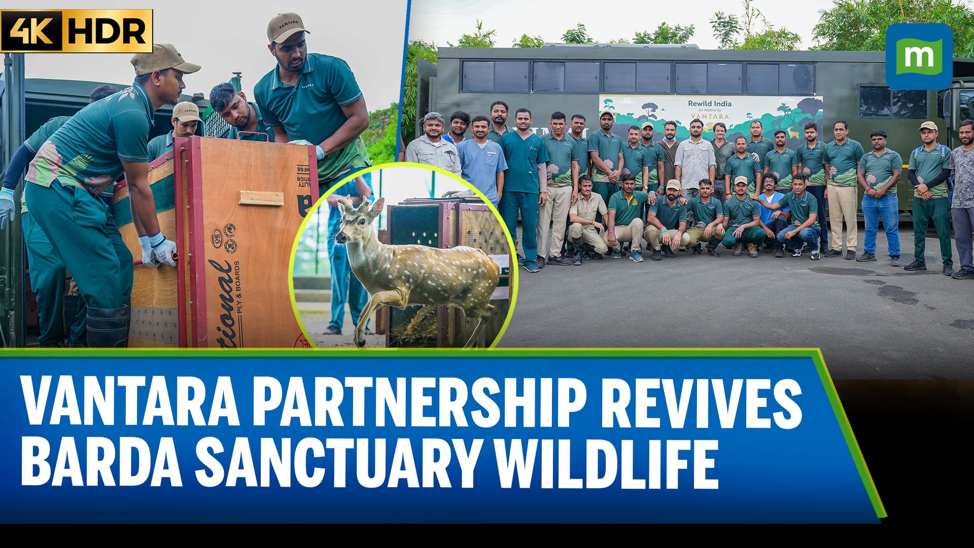 Vantara Joins Forces with Gujarat Forest Dept to Revive Barda Wildlife