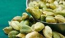 10 secret health and beauty benefits of cardamom you should know