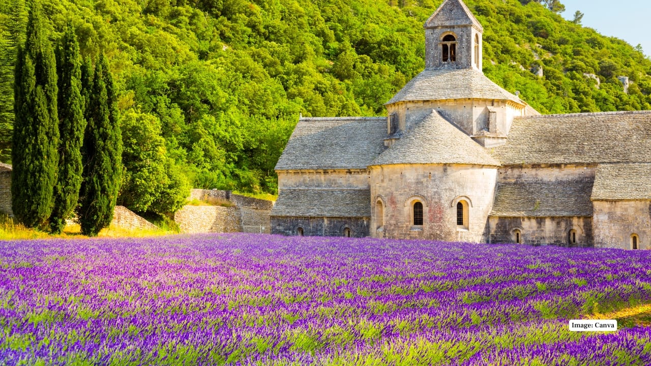 1. Provence, France Perhaps the most iconic lavender destination, Provence’s rolling purple fields glow brightest in July. Scenic villages, wineries, and endless meadows make this region a photographer’s dream and a traveller’s delight. (Image: Canva)