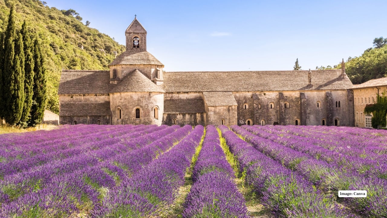 7. Senanque Abbey, France The ancient abbey in Gordes, surrounded by lavender fields, is one of France’s most photographed landmarks. The harmony of historic stone walls and blooming lavender creates a timeless, serene atmosphere. (Image: Canva)