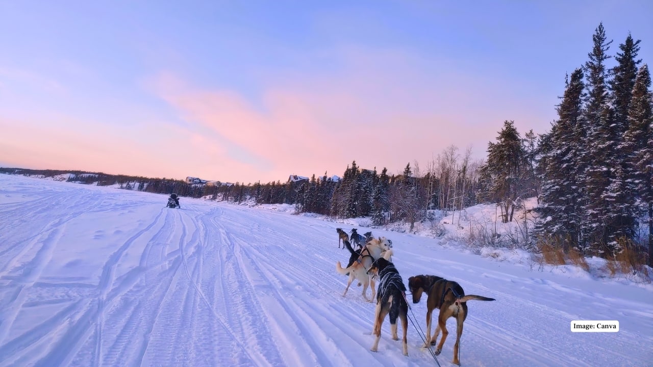 3. Canada Northern Canada is known for frigid winters, often reaching –40°C. The Yukon, Nunavut, and Northwest Territories experience long, icy seasons, while snow-covered forests and frozen lakes create breathtaking Arctic scenery. (Image: Canva)