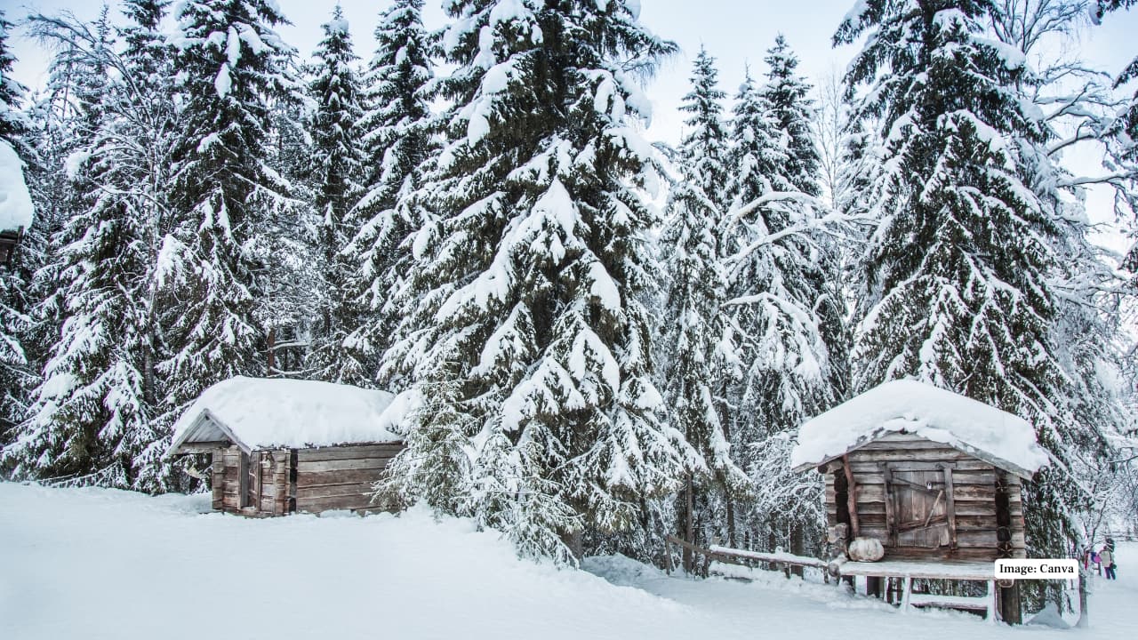 8. Finland Finland’s Lapland region experiences severe cold, dropping below –40°C in winter. Endless snow-covered forests, frozen lakes, and the magical aurora borealis make it one of the most striking cold destinations. (Image: Canva)