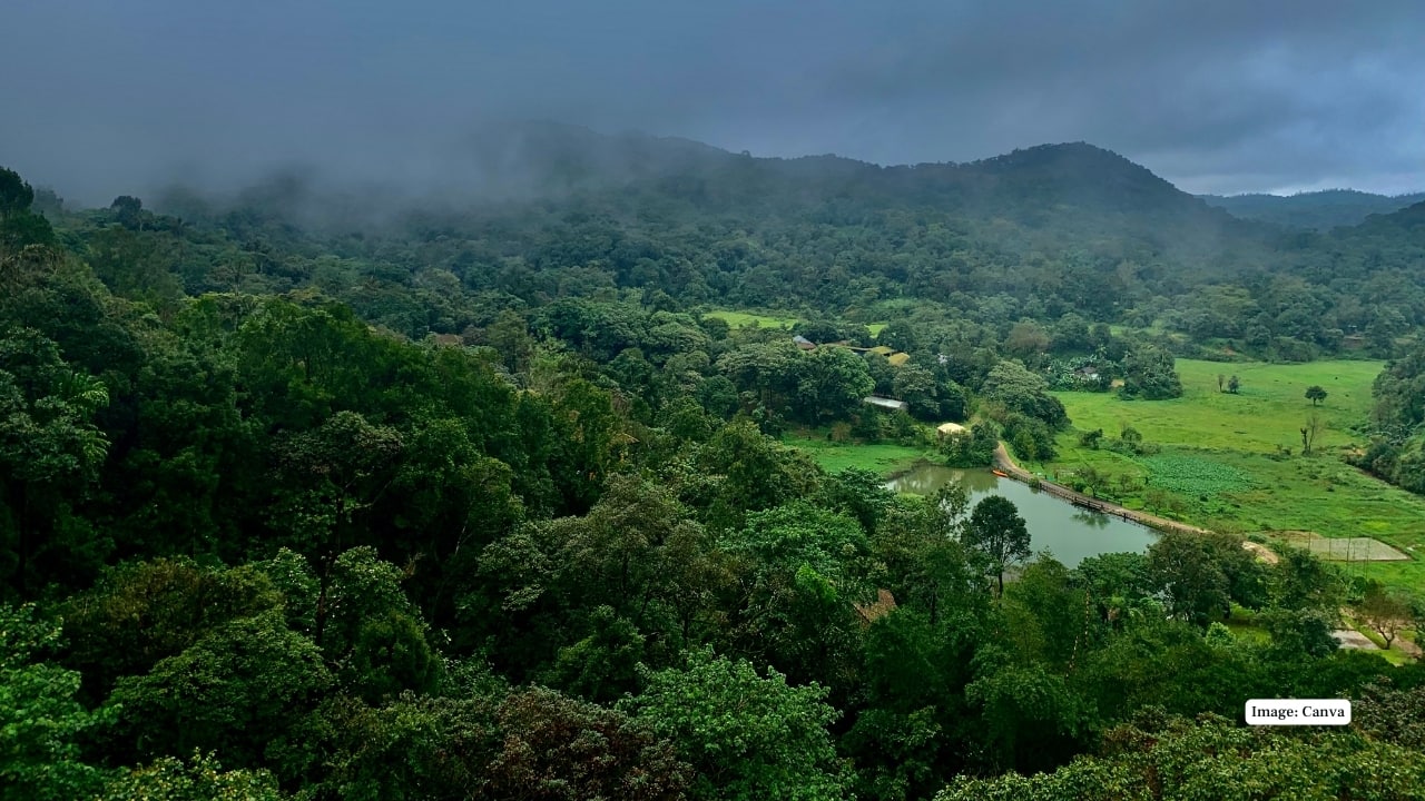 4. Coorg, Karnataka Monsoon in Coorg is a sensory delight—coffee plantations glisten with rain, Abbey Falls gushes in full fury, and the earthy aroma of moss and spices fills the air with rich, immersive calm.  (Image: Canva)