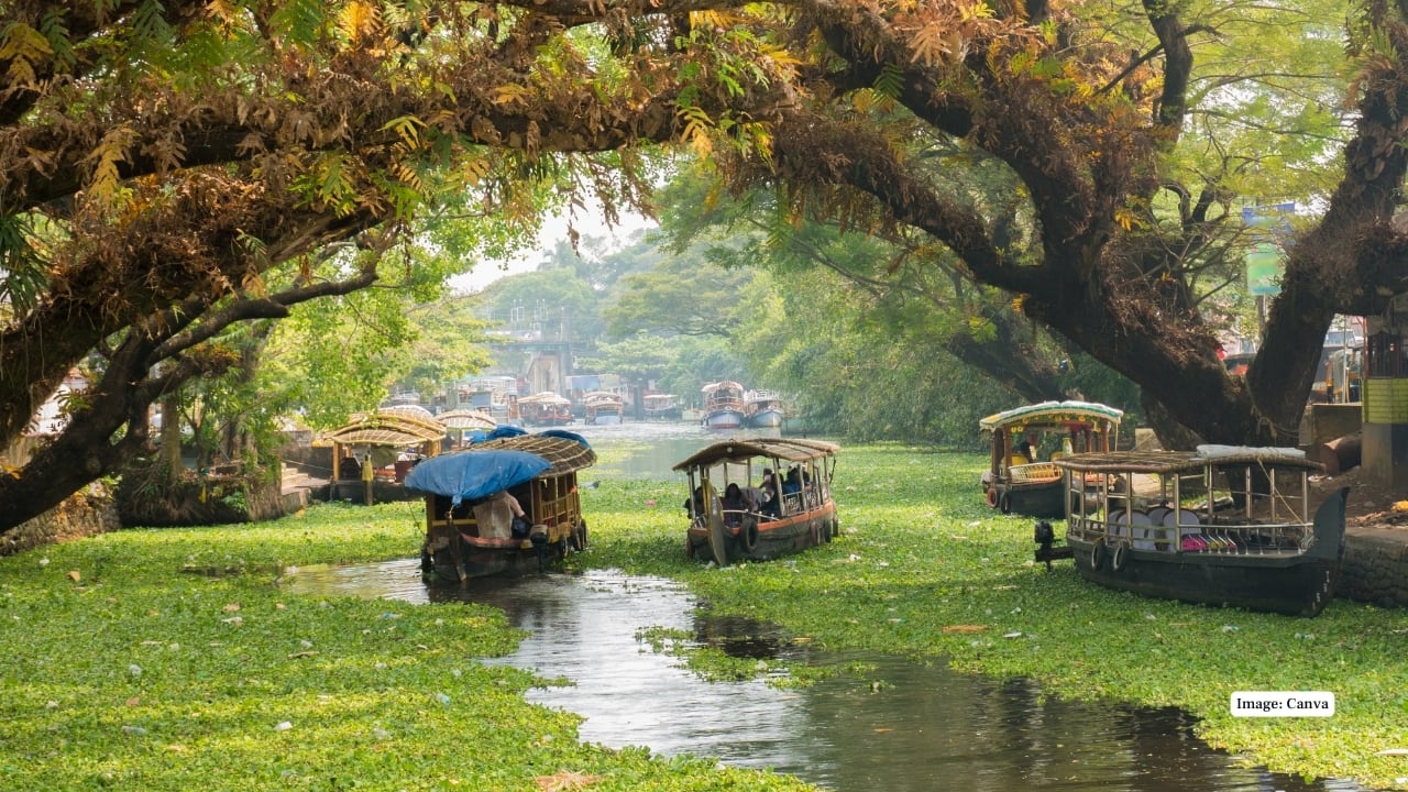 8. Alleppey (Alappuzha), Kerala In monsoon, Alleppey’s backwaters mirror sky and palm canopies. Houseboats glide through shimmering, rain-patched canals—each turn feels like drifting through a living watercolor of green reflections and gentle rain rhythms.  (Image: Canva)