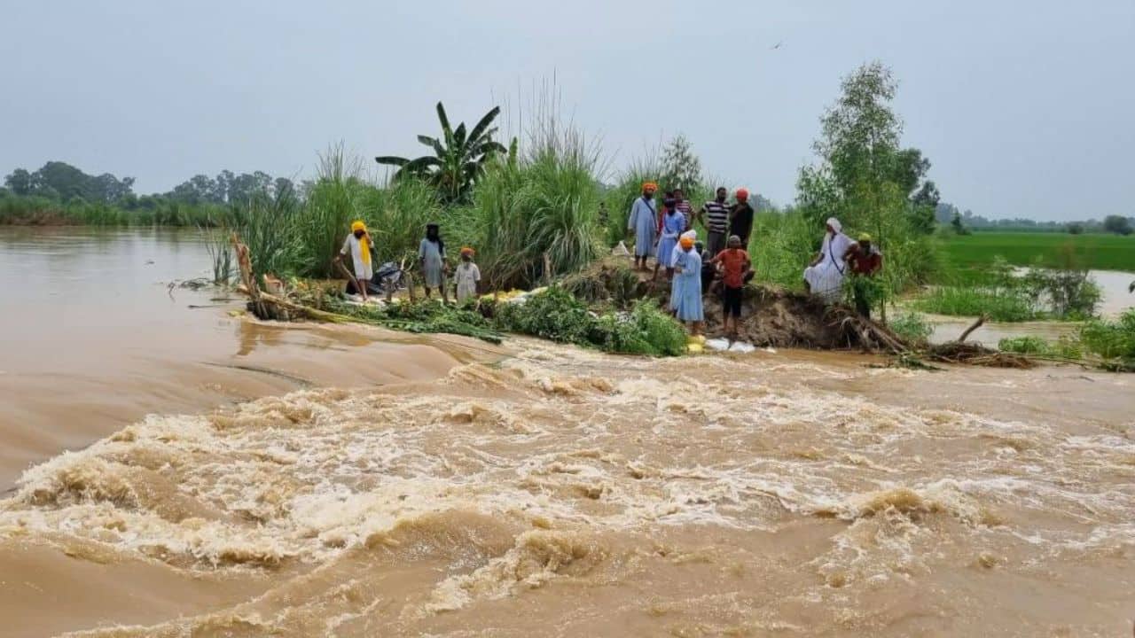 Punjab on alert as water releases from Himachal dams inundate villages; emergency teams rushed