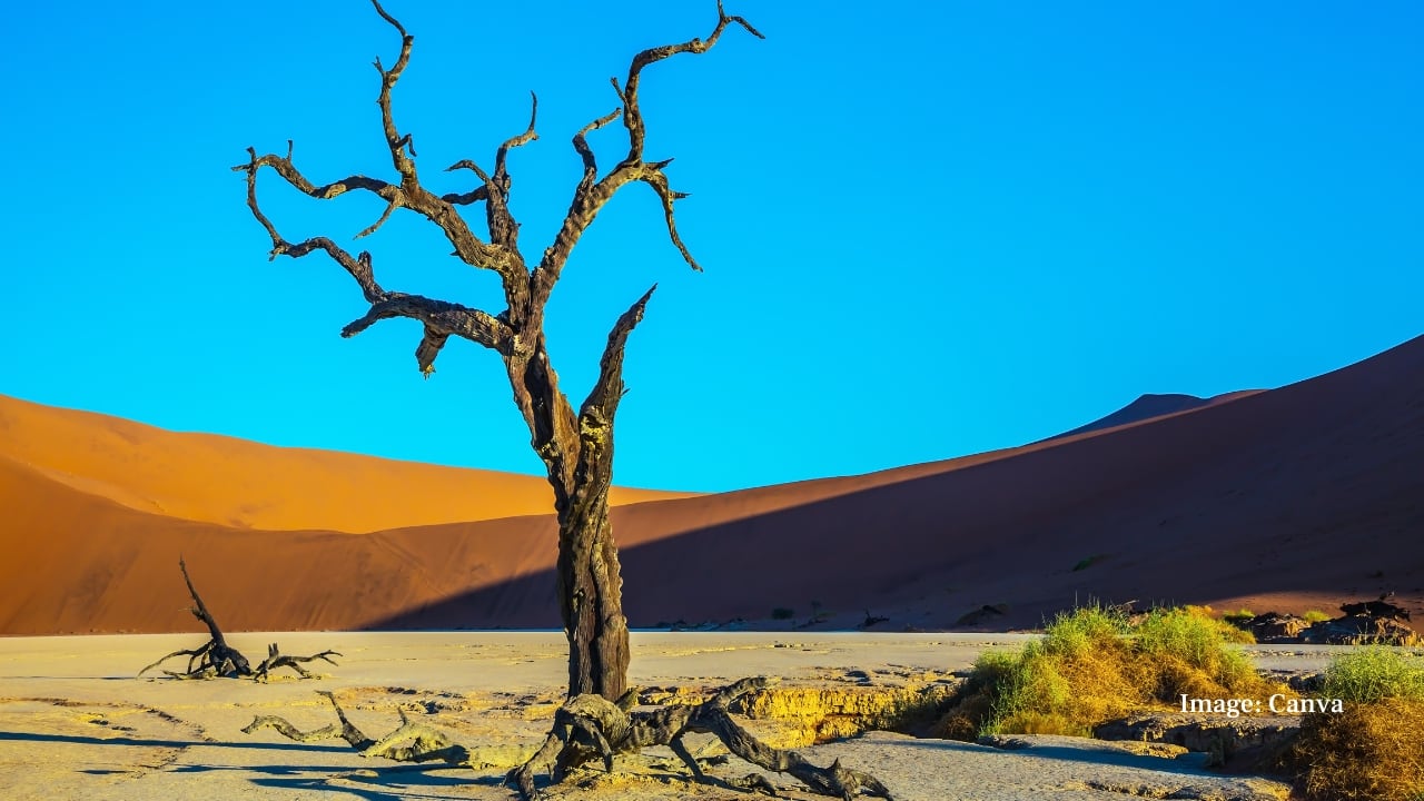 3. Namib-Naukluft National Park, Namibia Size: 49,768 km² (larger than Switzerland) Home to the world’s tallest sand dunes and the surreal Deadvlei, this park offers rust-red deserts, rugged canyons, and otherworldly landscapes. Larger than Switzerland, Namib-Naukluft proves that even deserts can hold spectacular life and breathtaking beauty. (Image: Canva)