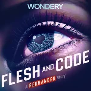 Podcast reco: Flesh and Code