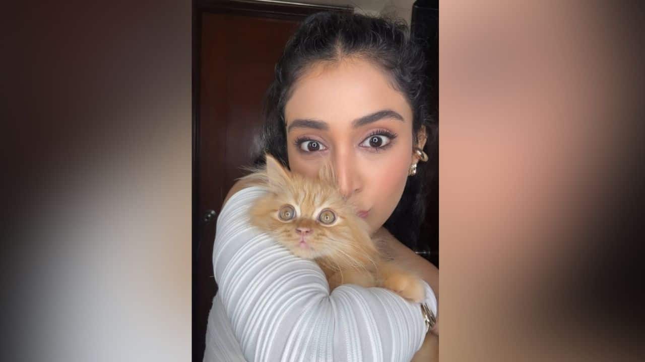 Priyamvada Kant introduces fans to her new kitty with an adorable video, calls it a ‘ball of joy'