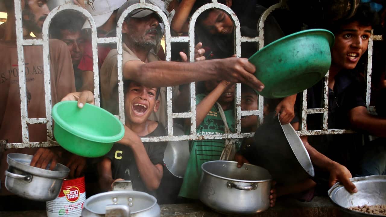 UN declares famine in Gaza, first ever in Middle East; Netanyahu rejects 'outright lie': What we know so far