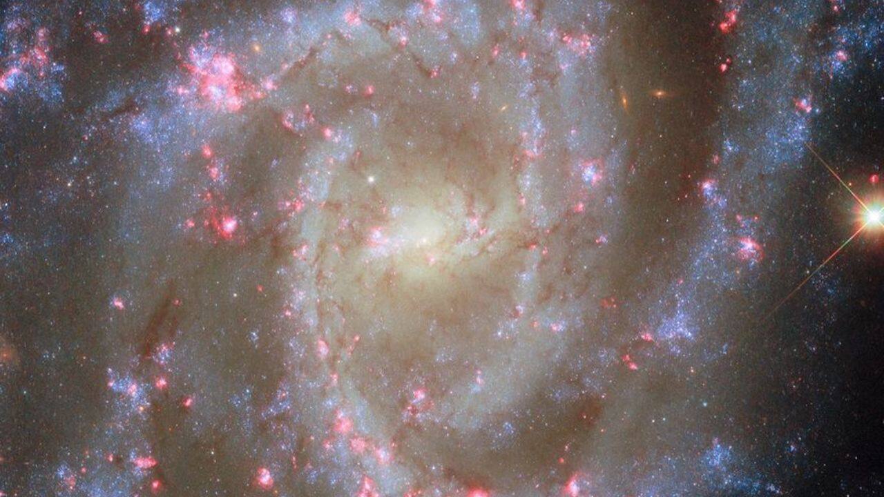 NASA's Hubble captures dozens of blooming pink nebulae in spiral galaxy NGC 2835