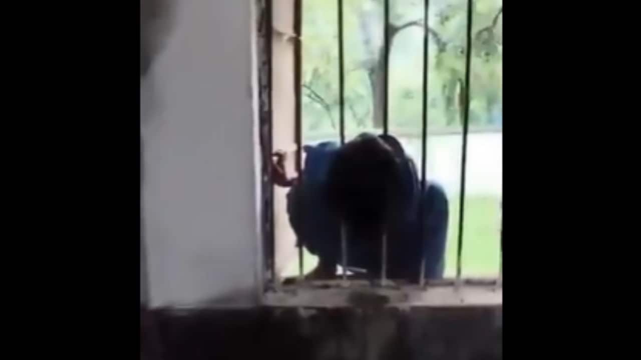 Class 2 girl left locked in Odisha school, spends night with head stuck in window grills