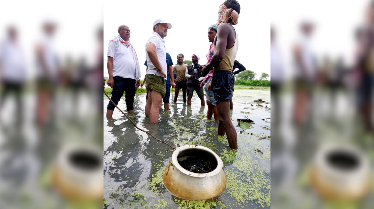 'Hard work done by 99% Dalit-Bahujans but profit goes to...': Rahul Gandhi meets Makhana farmers during Bihar 'Voter Adhikar Yatra'