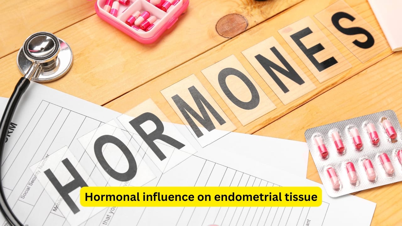 Hormonal influence on endometrial tissue In endometriosis, the endometrial tissue can occur in the abdomen, mostly in structures below the belly button. It can also be present extra-abdominally, like at the site of hysterotomy (incision at the uterus), cesarean section and tubectomy. It may also be seen in the vagina or the cervix.(Image: Canva)