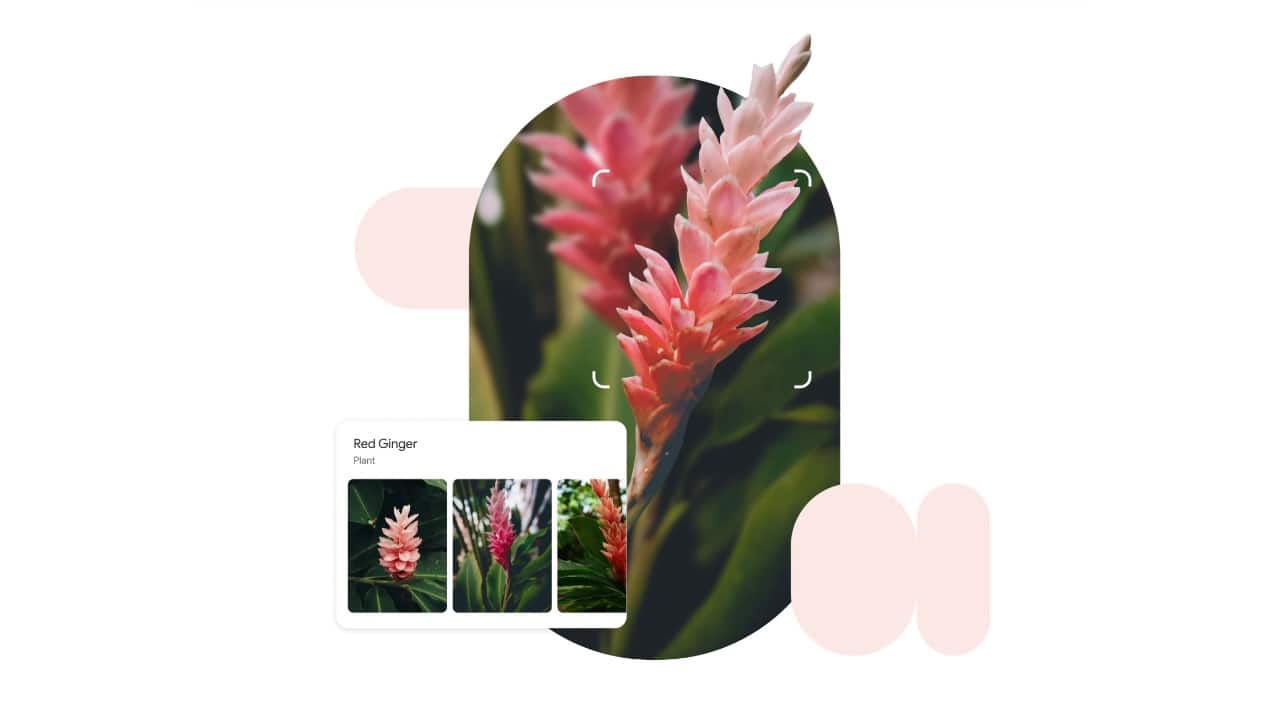 Use Google Lens for instant insights With Google Lens built into Photos, every picture becomes searchable. Tap the Lens icon on an image, and it can identify landmarks, animals, or plants, pull out text, and even recognise products for online shopping. It’s like turning your photo gallery into an interactive search engine for quick answers.