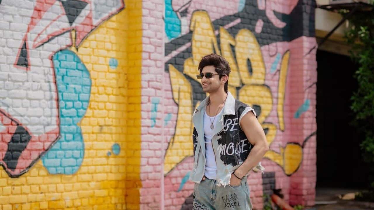 Breakthrough The incident left him so shaken that he gave up on his acting aspirations for a time. He took a job back home that paid him only Rs 7,000 per month. After a period of healing, Kumar decided to give his dream another chance. He returned to Mumbai and eventually found success, most notably on the TV show Udaariyaan. He gained recognition with his role as Amrik Singh Virk through the show.