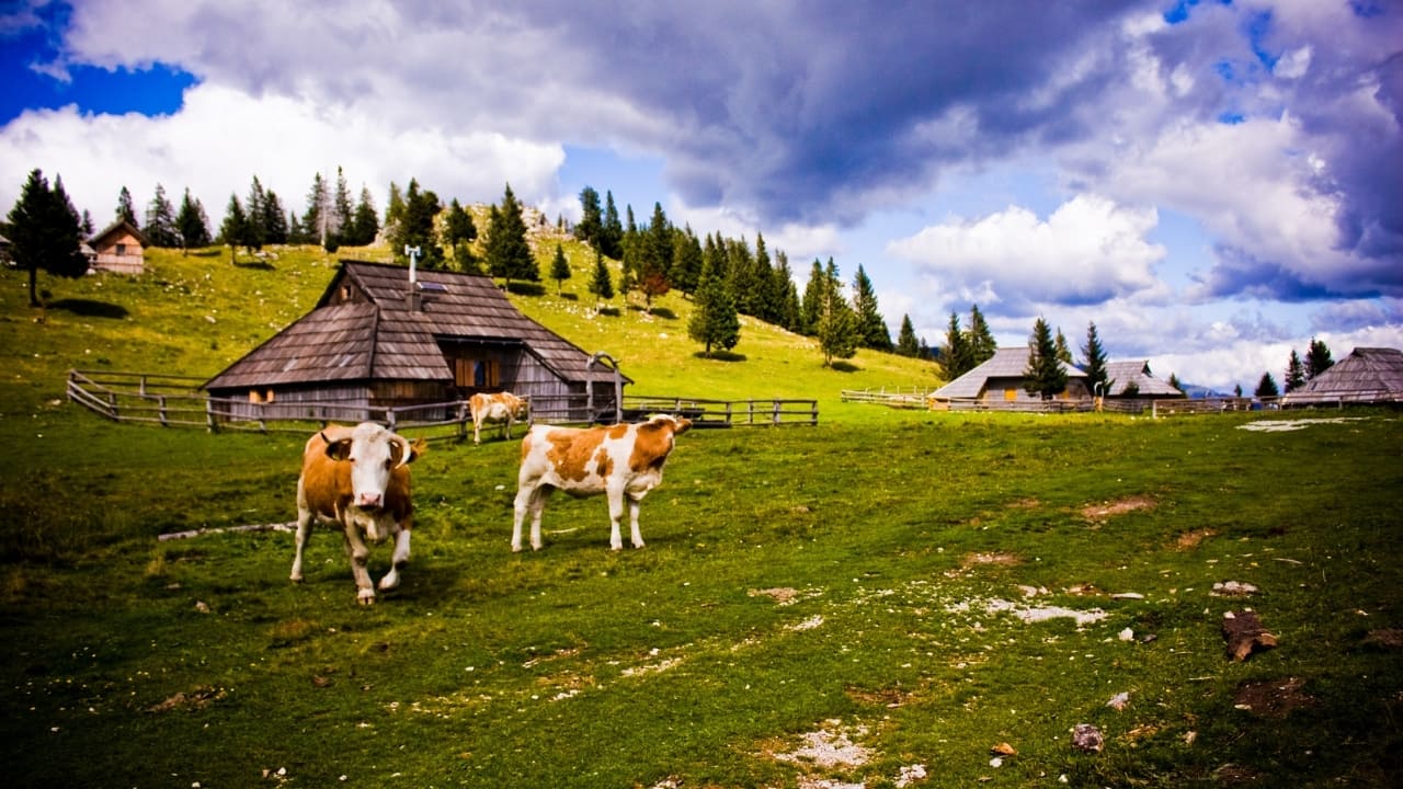 7. Velika Planina, Slovenia High in the Kamnik-Savinja Alps, this herdsmen’s settlement features tiny huts that resemble hobbit homes, framed by cow-dotted pastures and snow-peaked mountains—a scene straight out of Middle-Earth. (Image: Canva)