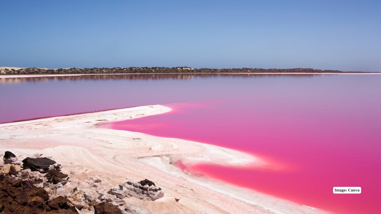 3. Lake Hillier, Australia Famous for its bubblegum-pink hue, Lake Hillier maintains its surreal color year-round, but its brightness intensifies under strong sunlight, making it look almost otherworldly. (Image: Canva)