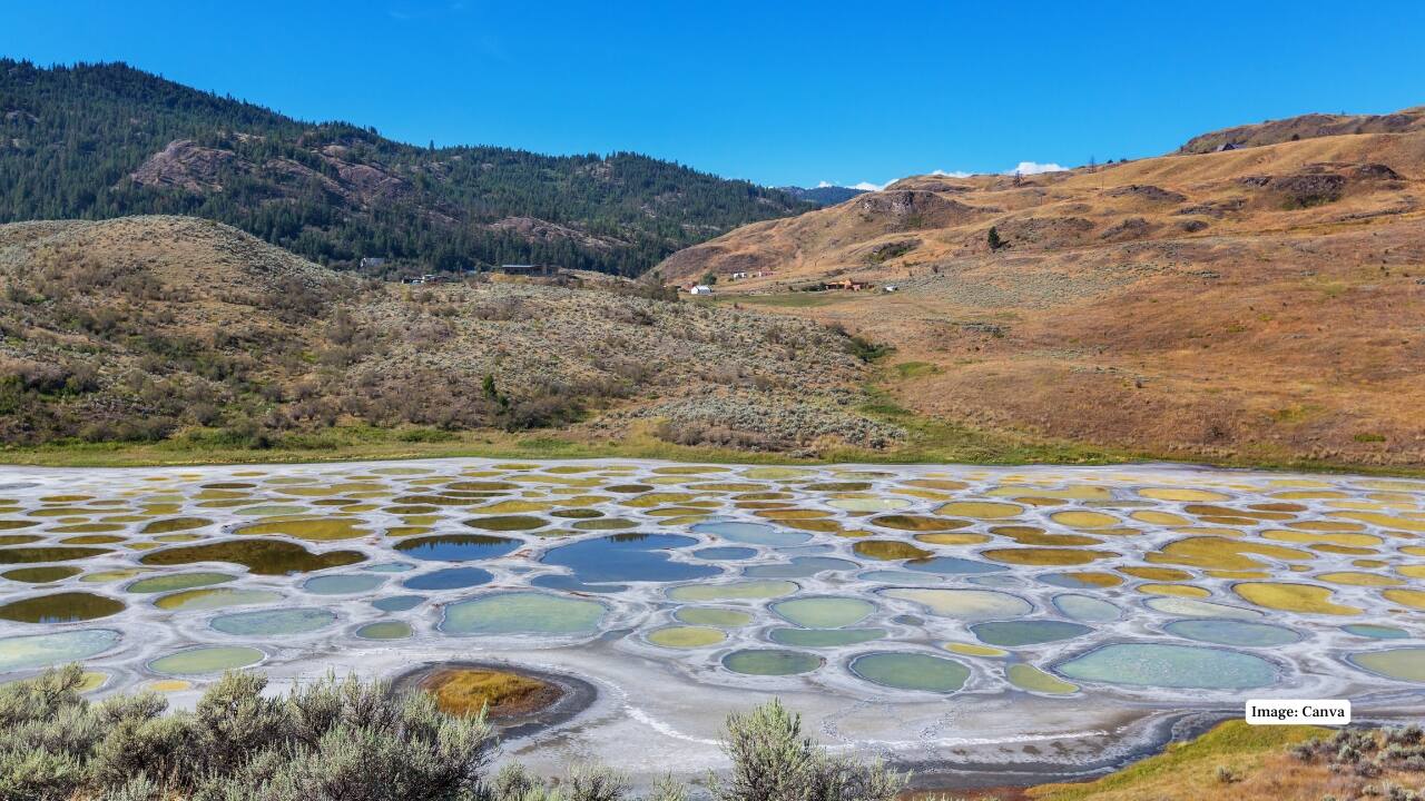 4. Spotted Lake, Canada Located in British Columbia, this saline lake transforms into colorful spots of green, yellow, and blue during summer, caused by high mineral concentrations and evaporation. (Image: Canva)