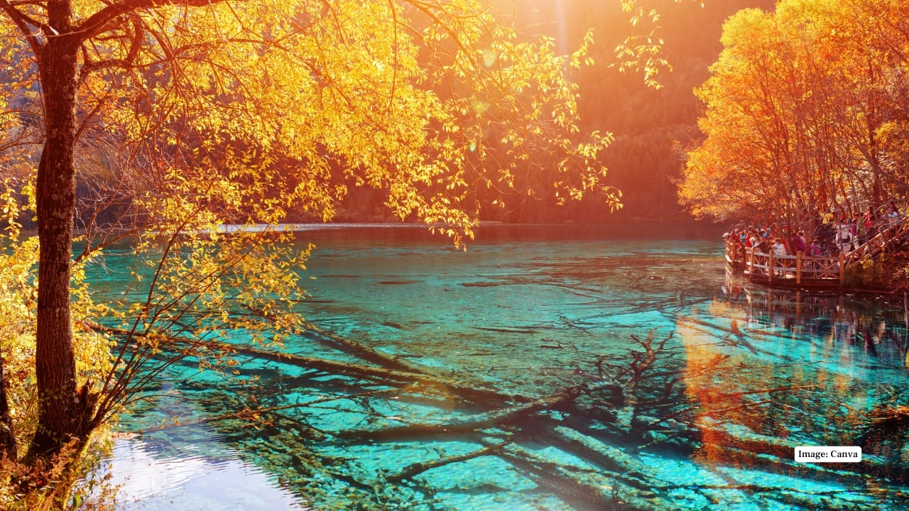8. Five Flower Lake, China Situated in Jiuzhaigou Valley, this lake showcases shades of turquoise, emerald, and gold. Its vivid colors come from mineral-rich waters and underwater fallen trees. (Image: Canva)