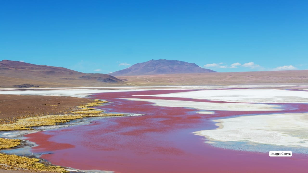 9. Laguna Colorada, Bolivia This shallow salt lake glows red due to algae and sediments, but its colors shift to white, brown, or orange depending on weather and light. (Image: Canva)