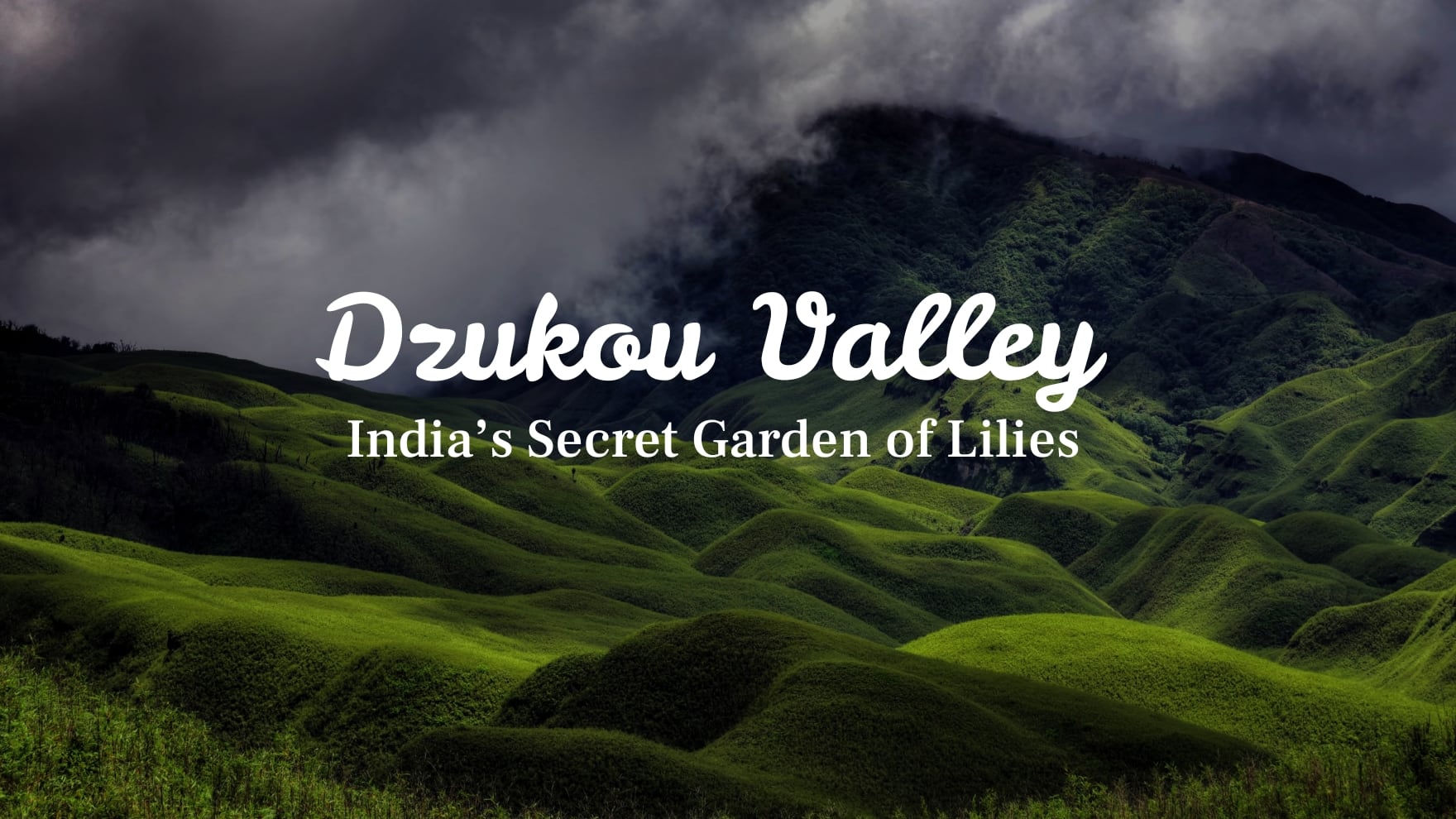 Dzukou Valley: India’s Secret Garden of Lilies