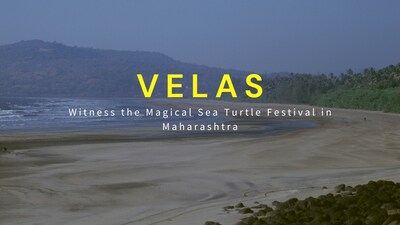 Velas: Witness the Magical Sea Turtle Festival in Maharashtra