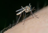 Dengue in Children: Early symptoms, risks, and how to protect your child this season
