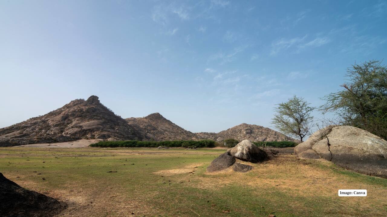 6. Rajasthan’s Offbeat Wild Side Beyond forts and deserts, Bera showcases another face of Rajasthan. It’s an offbeat wildlife destination that highlights peaceful coexistence, scenic landscapes, and rare leopard encounters unmatched by regular sanctuaries. (Image: Canva)