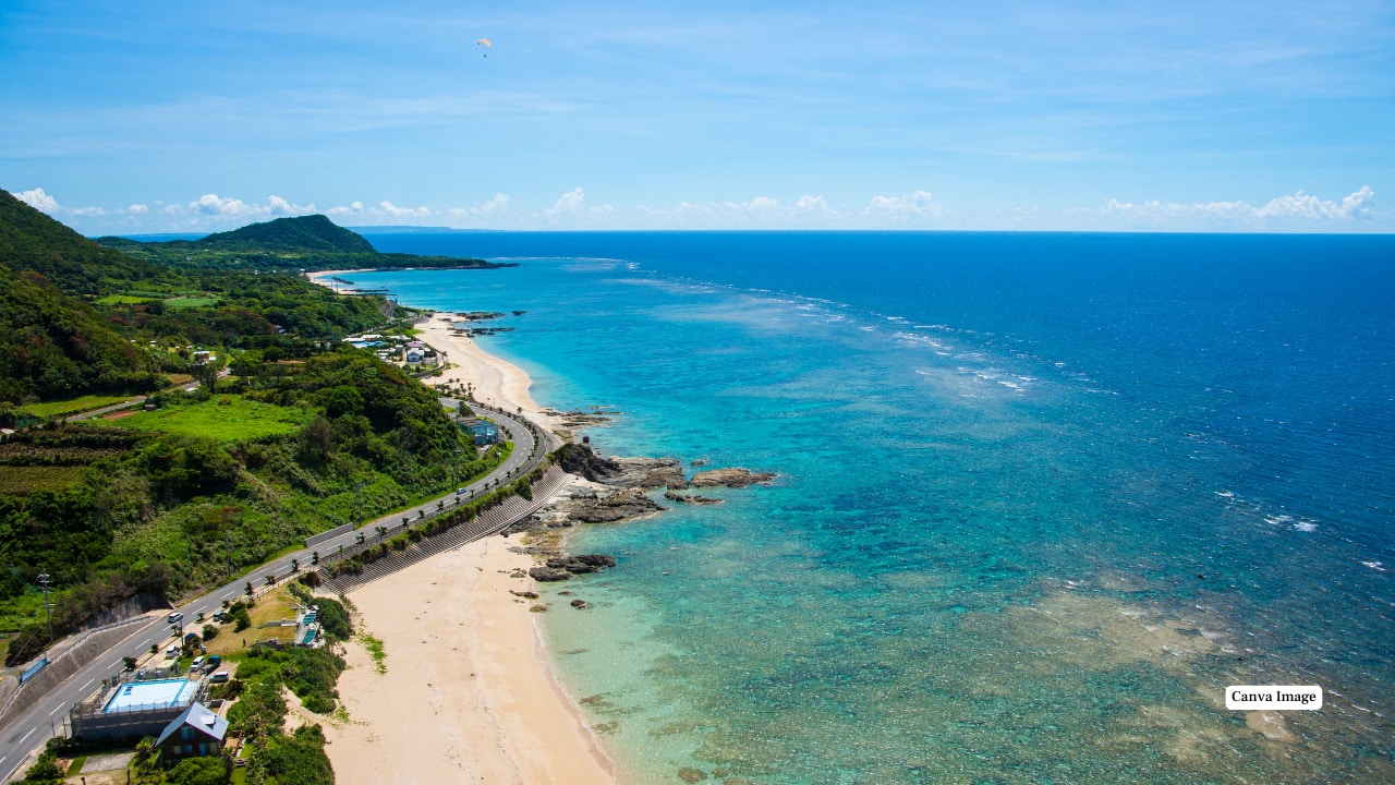 2. Amami Oshima, Kagoshima, Japan This lush subtropical island is a true hidden gem. Imagine catching glimpses of the rare Amami Thrush or the striking Lidth’s Jay while standing beneath a dense forest canopy. And when you’re done birdwatching, you can dive into its coral reefs, lounge on quiet beaches, or explore some of Japan’s clearest waters. A birder’s paradise with an island-holiday twist. (Image: Canva)
