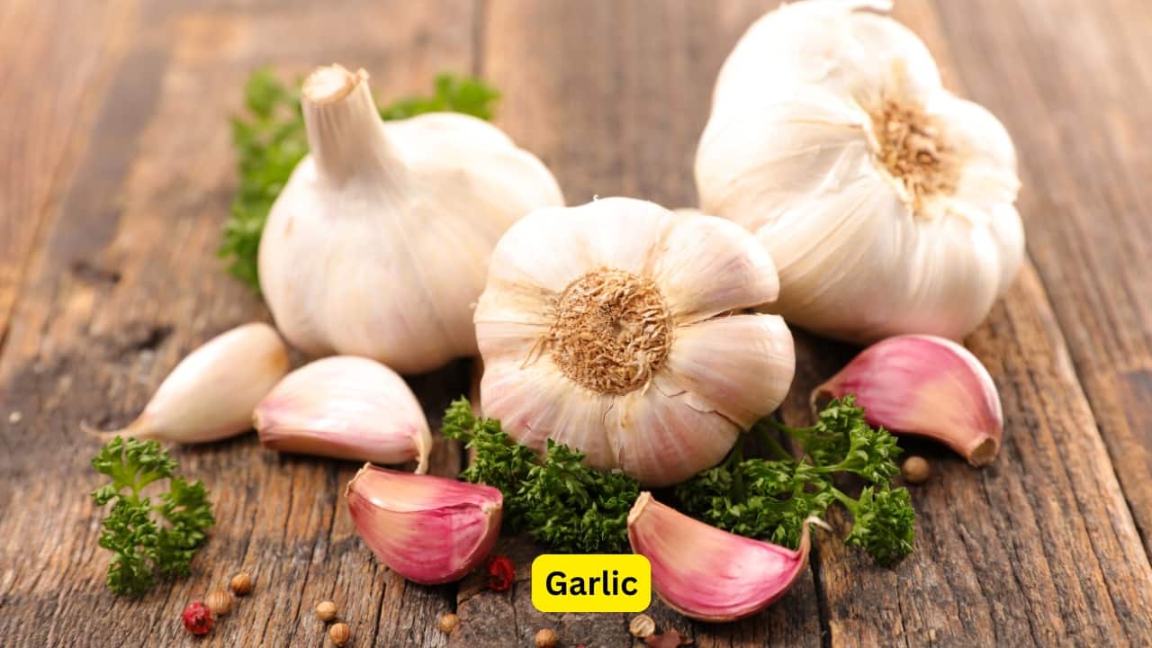 Garlic Garlic is an everyday staple for many. That strong smell in food, it comes from allicin, a compound that blocks viruses from spreading. No wonder grandma always adds more garlic to home remedies.(Image: Canva) Garlic Garlic is an everyday staple for many. That strong smell in food, it comes from allicin, a compound that blocks viruses from spreading. No wonder grandma always adds more garlic to home remedies.(Image: Canva)